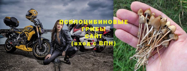 a pvp Арсеньев