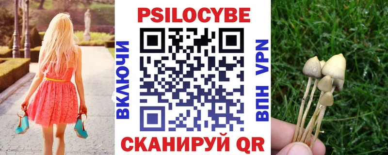 Галлюциногенные грибы Cubensis  Светлогорск 